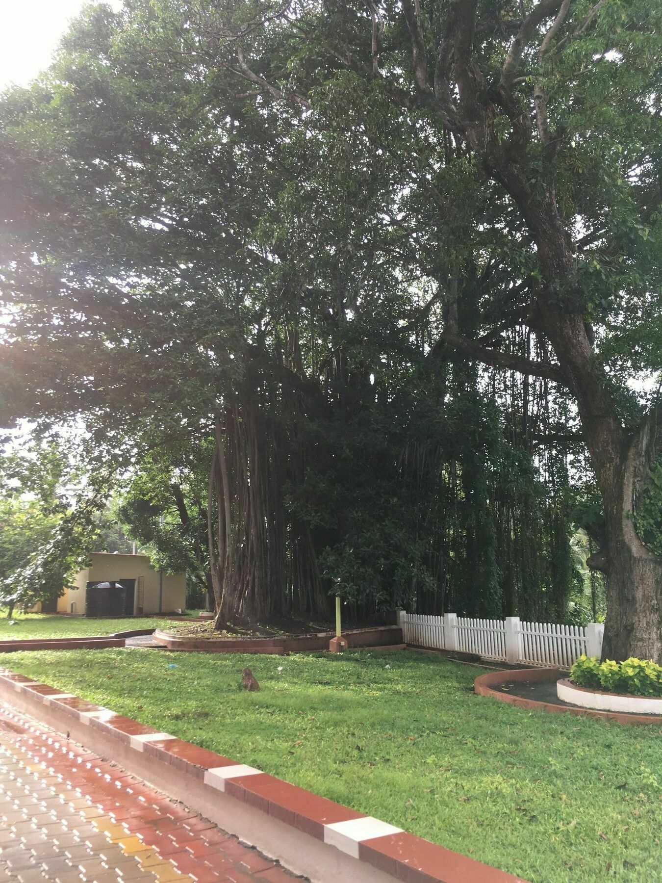 Monarch 3* Candolim